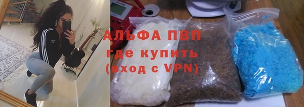 гашик Алзамай