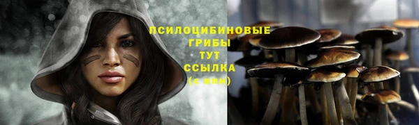 spice Алексеевка