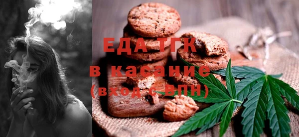 индика Краснослободск