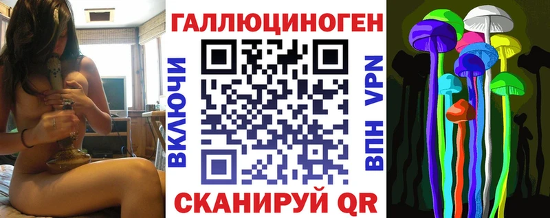 Галлюциногенные грибы Psilocybine cubensis  Купить  Богданович 